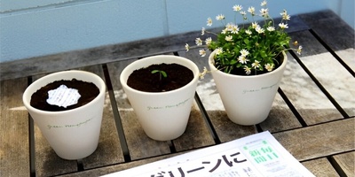 ویدیو | ایده خلاقانه ژاپن با روزنامه‌های قابل کِشت/فناوری عجیب که ثابت کرداین کشور در آینده زنگی میکنه