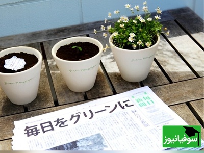 ویدیو | ایده خلاقانه ژاپن با روزنامه‌های قابل کِشت/فناوری عجیب که ثابت کرداین کشور در آینده زنگی میکنه