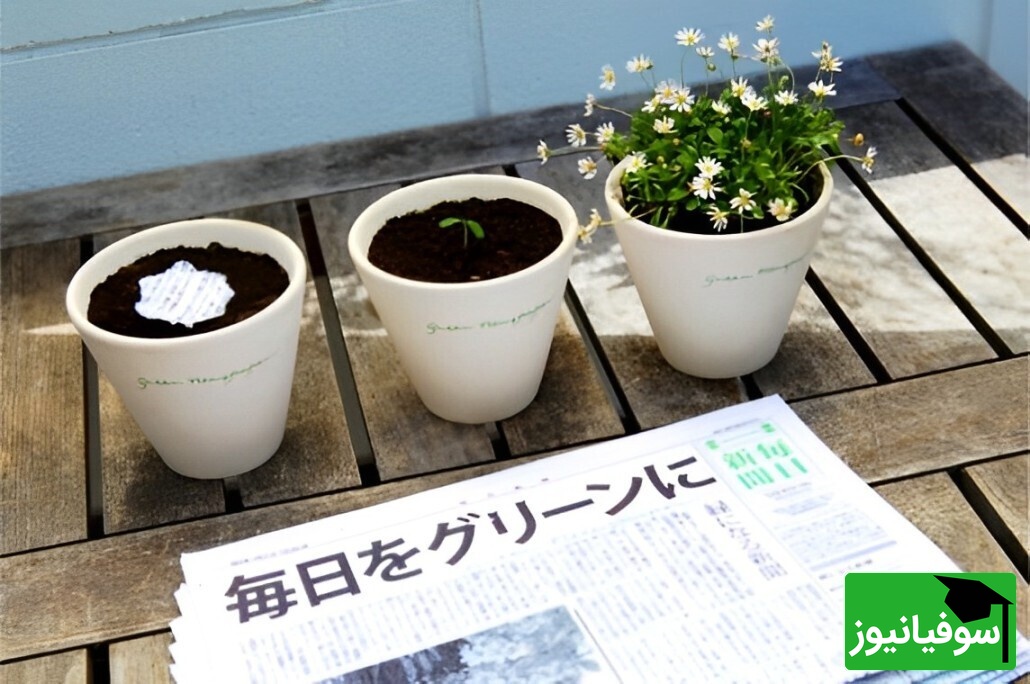 ویدیو | ایده خلاقانه ژاپن با روزنامه‌های قابل کِشت/فناوری عجیب که ثابت کرداین کشور در آینده زنگی میکنه