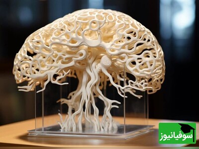 (ویدئو) تغییرات شگفت‌انگیز مغز با گذشت زمان؛ تفاوت‌های باورنکردنی مغز در 40 و 80 سالگی که شما را شگفت‌زده خواهد کرد!