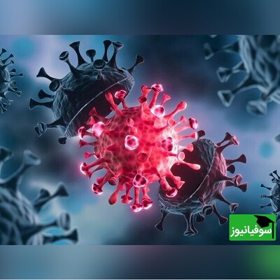 محققان دانشگاه سیدنی 160 هزار گونۀ جدید از ویروس RNA را با کمک هوش مصنوعی کشف کردند