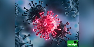 محققان دانشگاه سیدنی 160 هزار گونۀ جدید از ویروس RNA را با کمک هوش مصنوعی کشف کردند