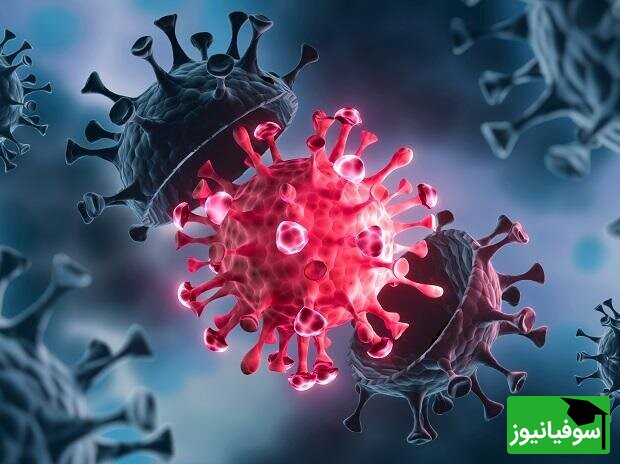 محققان دانشگاه سیدنی 160 هزار گونۀ جدید از ویروس RNA را با کمک هوش مصنوعی کشف کردند