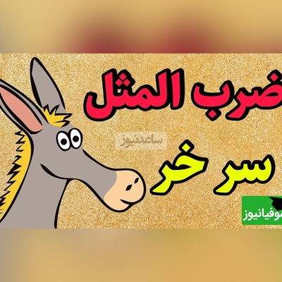 نگاهی به ضرب‌المثل جذاب و خواندنی/ اصطلاح سر خر از کجا آمده؟ عمرا اگه بدنی از کجا اومده!+ ویدئو