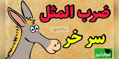 ماجرای جالب یک ضرب‌المثل معروف؛ «سرِ خر» از کِی وارد زبان ما شد؟ +ویدئو