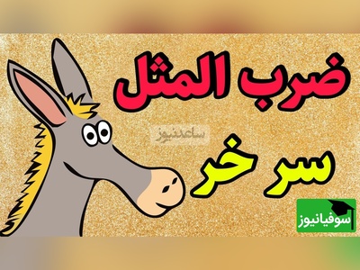 نگاهی به ضرب‌المثل جذاب و خواندنی/ اصطلاح سر خر از کجا آمده؟ عمرا اگه بدنی از کجا اومده!+ ویدئو