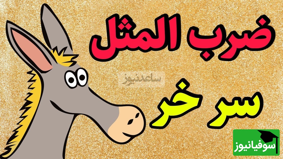 نگاهی به ضربالمثل جذاب و خواندنی/ اصطلاح سر خر از کجا آمده؟ عمرا اگه بدنی از کجا اومده!+ ویدئو