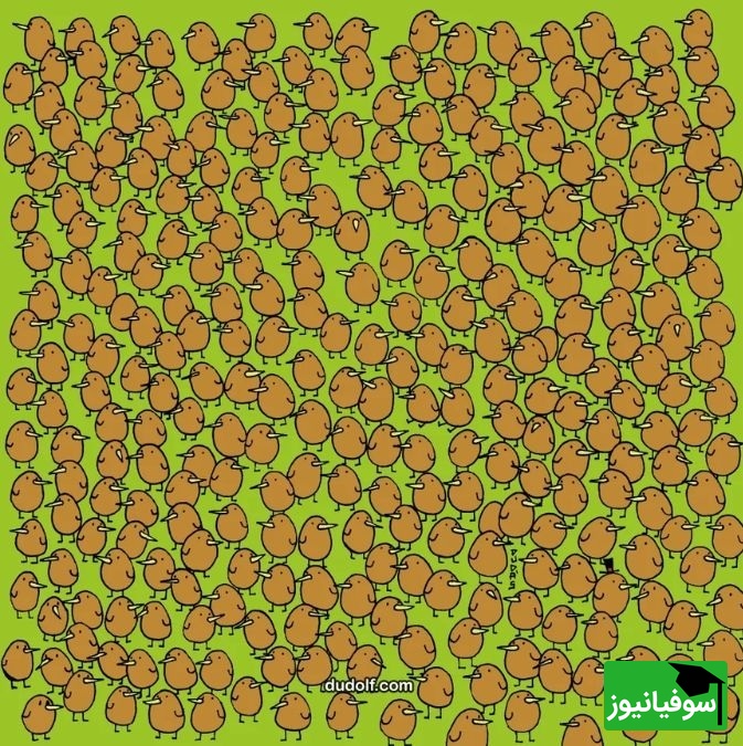 معما
