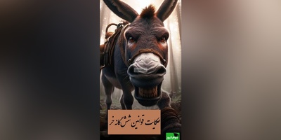 حکایت جالب شش‌گانه خر/ من به خاطر خرّیت یک چیزهایی ابلاغ کردم، شماها چرا این همه سال عین بز اطاعت می کردید؟/ بز نباشیم!+ فیلم