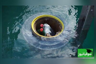 (ویدئو) اختراع بی‌نظیر سطل زبالۀ آبی توسط دو حامی محیط‌زیست