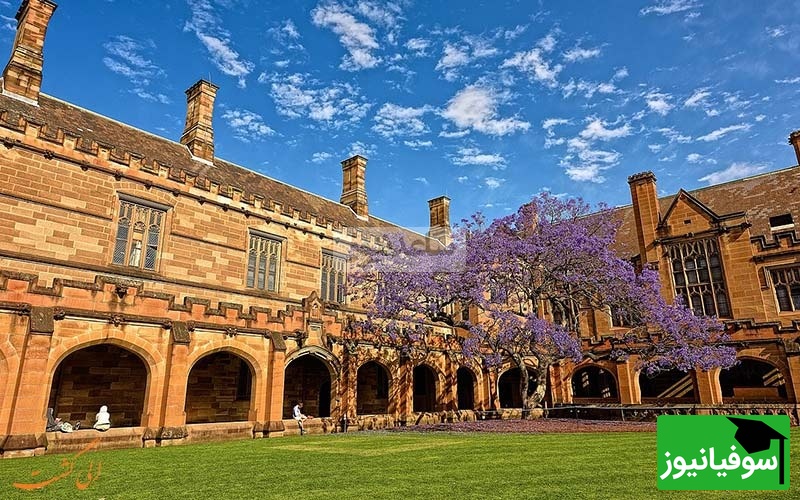 دانشگاه سیدنی