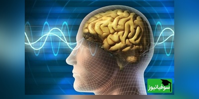 هشدار پزشکان برای زالو درمانی/ وقتی یک باور غلط می‌تواند فاجعه‌بار باشد!