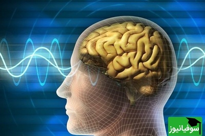 هشدار پزشکان برای زالو درمانی/ وقتی یک باور غلط می‌تواند فاجعه‌بار باشد!