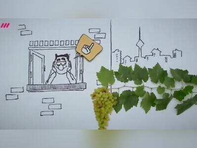 ویدئو/ شروط استفاده از حق‌الماره