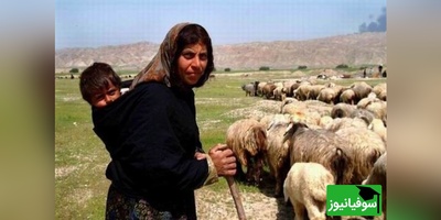 زنگ خلاقیت : ابتکار و نوآوری تحسین‌برانگیز و خنده‌دار چوپان ایرانی در پایان دادن به چالش «خوش‌تیپ»  حماسه آفرید/ لعنتی کمرم شکست از این همه خوش تیپی