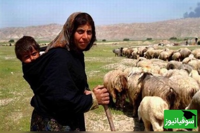 زنگ خلاقیت : ابتکار و نوآوری تحسین‌برانگیز و خنده‌دار چوپان ایرانی در پایان دادن به چالش «خوش‌تیپ»  حماسه آفرید/ لعنتی کمرم شکست از این همه خوش تیپی