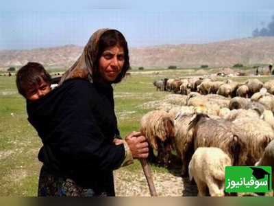 زنگ خلاقیت : ابتکار و نوآوری تحسین‌برانگیز و خنده‌دار چوپان ایرانی در پایان دادن به چالش «خوش‌تیپ»  حماسه آفرید/ لعنتی کمرم شکست از این همه خوش تیپی