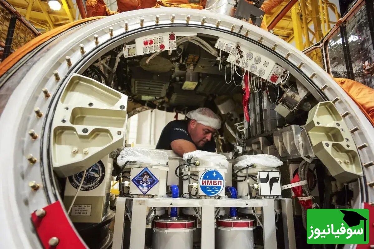 نمونههای برگردانده شده به زمین