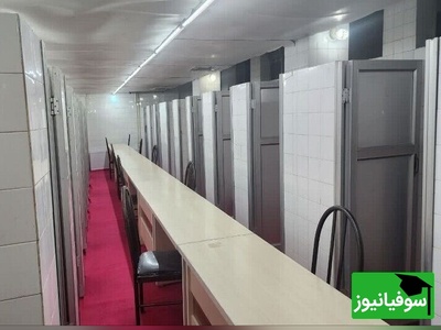 (فیلم) غافلگیرکننده و واقعی/ عجیب‌ترین فضای مطالعه‌ای که دیده‌اید!