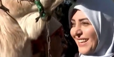 توصیف دقیق ضرب المثل معروف توسط المیرا شریفی مقدم: به آدم قدرنشناس که کینه به دل بگیره بخواد بهت ضربه بزنه میگن کینه شتری داره