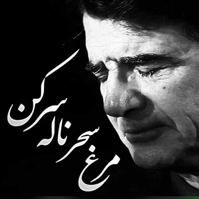 با این ویدئو اشکت درمیاد؛ شاهکار فراموش نشدنی «مرغ سحر» با صدای جاودان استاد شجریان