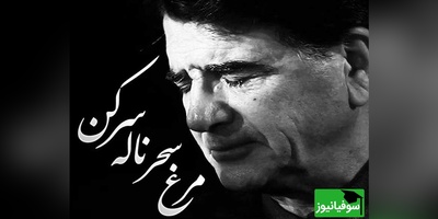 با این ویدئو اشکت درمیاد؛ شاهکار فراموش نشدنی «مرغ سحر» با صدای جاودان استاد شجریان