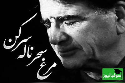 با این ویدئو اشکت درمیاد؛ شاهکار فراموش نشدنی «مرغ سحر» با صدای جاودان استاد شجریان