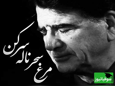 با این ویدئو اشکت درمیاد؛ شاهکار فراموش نشدنی «مرغ سحر» با صدای جاودان استاد شجریان