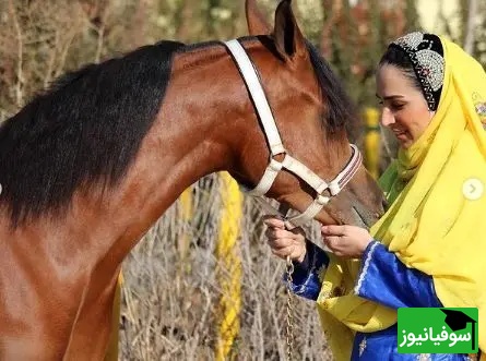 سوگل طهماسبی