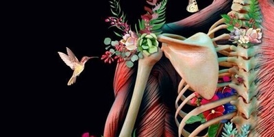 قولنج‌ شکستن/ عادتی که شاید سلامتت را نشانه گرفته باشد!