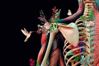 قولنج‌ شکستن/ عادتی که شاید سلامتت را نشانه گرفته باشد!