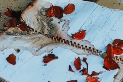 (ویدئو) وقتی دفترهای مشق نیمه‌تمام ماندند؛ روایت تلخ وسایل به‌جا مانده از دانش‌آموزان میناب