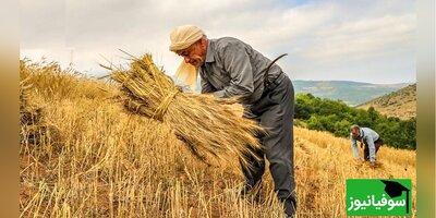 دانلود رایگان سوالات کنکور کارشناسی ارشد ترویج و آموزش کشاورزی سال 1401