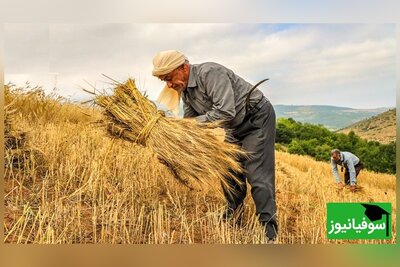 دانلود رایگان سوالات کنکور کارشناسی ارشد ترویج و آموزش کشاورزی سال 1401