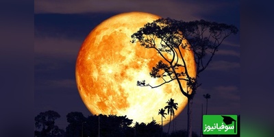 (ویدئو) نوزاد ماه به سیارک تبدیل شد/ شباهت‌ سیارک جدا شده از ماه در انعکاس نور