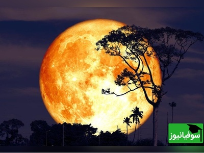 (ویدئو) نوزاد ماه به سیارک تبدیل شد/ شباهت‌ سیارک جدا شده از ماه در انعکاس نور