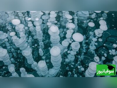 ویدیو/ پدیدۀ شگفت‌انگیز "یخ شمع"/ صدای زندگی در قلب دریاچۀ یخی