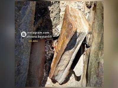 ویدیو/ کشف کتاب سنگی 330 میلیون ساله در اعماق زمینی در استرالیا