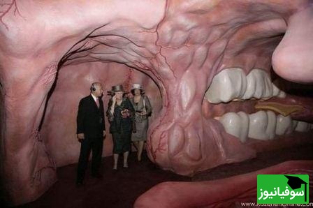 ساختمان با الهام از بدن انسان