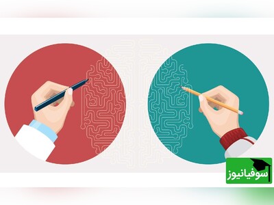 ویدیو/ توانایی مغز انسان در تغییر دست غالب از راست به چپ و بالعکس/ چپ دست بودن، ننگ یا هوش! محققان چه می‌گویند؟