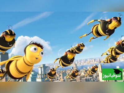 ویدیو/ داستان انگلیسی «زنبور شجاع» با زیرنویس فارسی چسبیده/ یادگیری اصطلاحات روزمره
