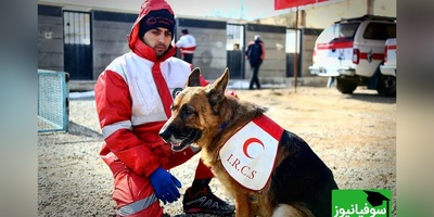 دختر تیدا کنار سنگ مزارش؛ باهوش‌ترین سگ زنده‌یاب که قهرمان حادثه زلزله کرمانشاه و پلاسکو شد
