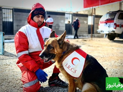 دختر تیدا کنار سنگ مزارش؛ باهوش‌ترین سگ زنده‌یاب که قهرمان حادثه زلزله کرمانشاه و پلاسکو شد
