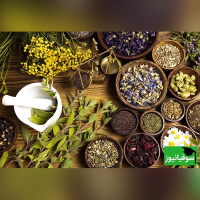 فروش داروی گیاهی در عطاری‌ها ممنوع است