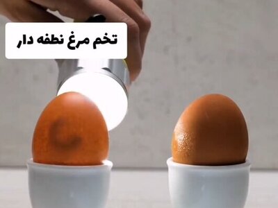 (ویدئو) ترفندهای جالب تشخیص مواد غذایی سالم از غیرسالم/ شما روش بهتری برای تشخیص سراغ دارین!؟