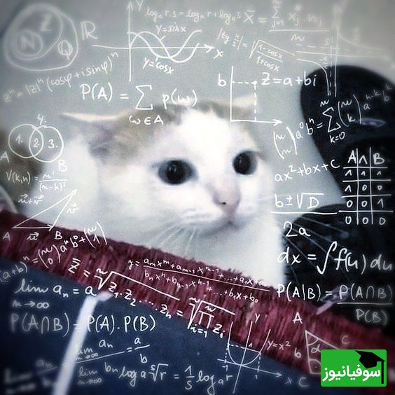 دانلود رایگان دفترچه سوالات عمومی و تخصصی کنکور سراسری گروه ریاضی و فنی/ سال‌ 1391