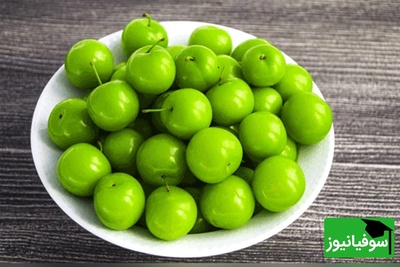 (ویدئو) فقط با خوردن این میوه بهاری، کبد چرب را پاکسازی کنید / خواص شگفت‌انگیز گوجه سبز برای سم‌زدایی و سلامت بدن