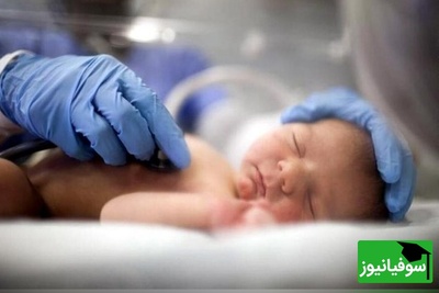 آیین عجیب تدفین ایرانیان باستان؛ کشف دو جنین 6500 ساله در تپه چپرآباد ایران