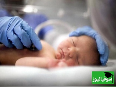 آیین عجیب تدفین ایرانیان باستان؛ کشف دو جنین 6500 ساله در تپه چپرآباد ایران