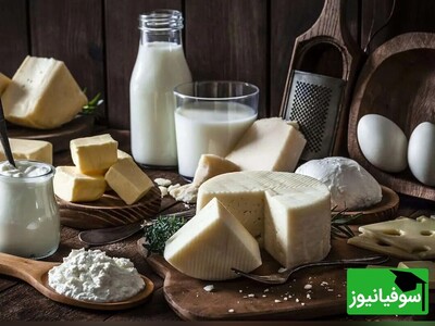 ویدیو / آموزش «لبنیات» به زبان ترکی استانبولی